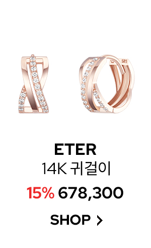 ETER 14K 귀걸이