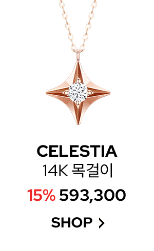 CELESTIA 14K 목걸이