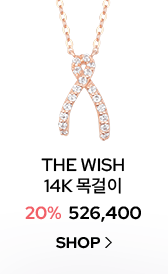 THE WISH 14K 목걸이