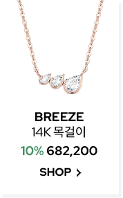 BREEZE 14K 목걸이