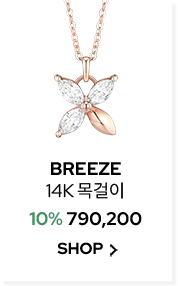 BREEZE 14K 목걸이