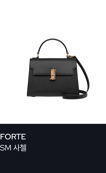 FORTE SM 사첼
