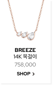 BREEZE 14K 목걸이