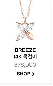 BREEZE 14K 목걸이