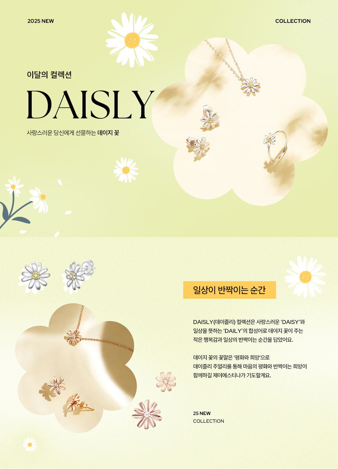editor이미지