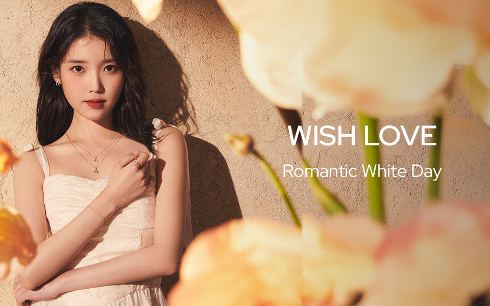 lnb_banner