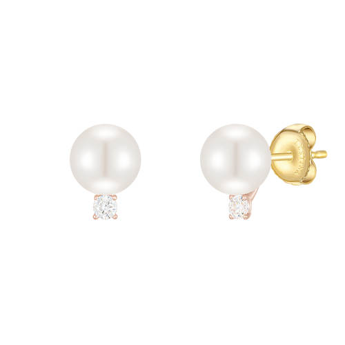 BASIC PERLINA 14K 귀걸이 (JJP1EF2BS200R4000)