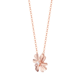 DAISLY 14K 목걸이 (JJDANQ5B3250R4420)