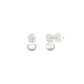 BASIC PERLINA 14K 진주 귀걸이 (JJP1EI5BV159R4SC0)