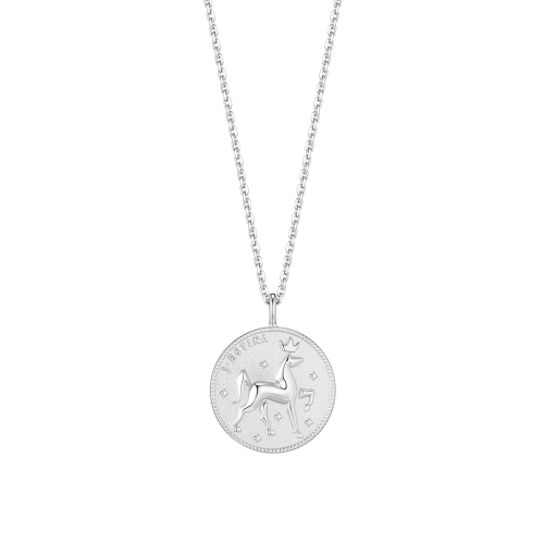 THE WISH COIN 실버 목걸이 (JJWJN06B1101SW500)
