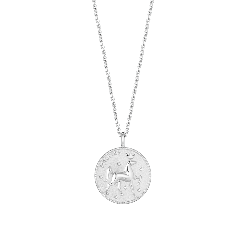THE WISH COIN 실버 목걸이 (JJWJN06B1101SW500)