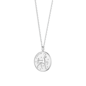 THE WISH COIN 실버 목걸이 (JJWJN06B1101SW500)