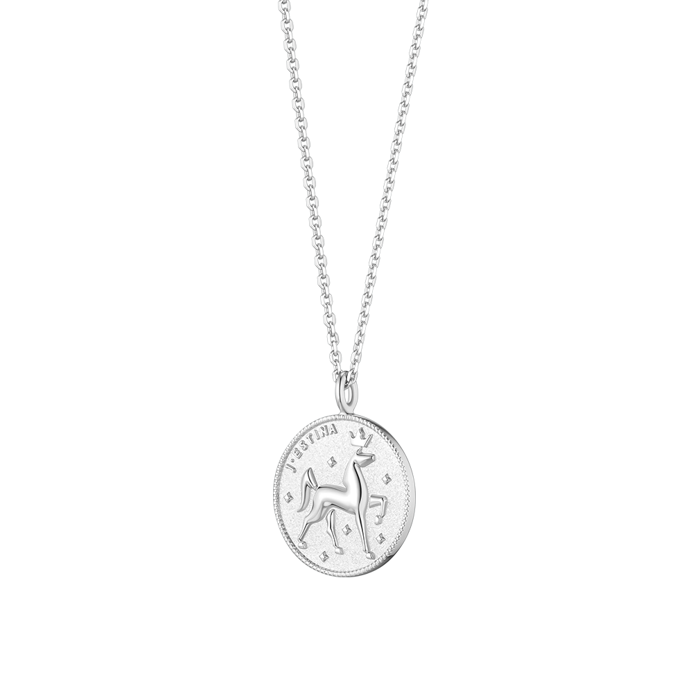 THE WISH COIN 실버 목걸이 (JJWJN06B1101SW500)