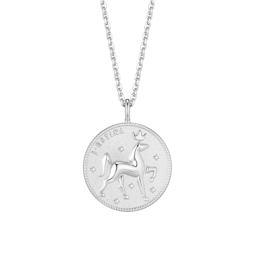 THE WISH COIN 실버 목걸이 (JJWJN06B1101SW500)