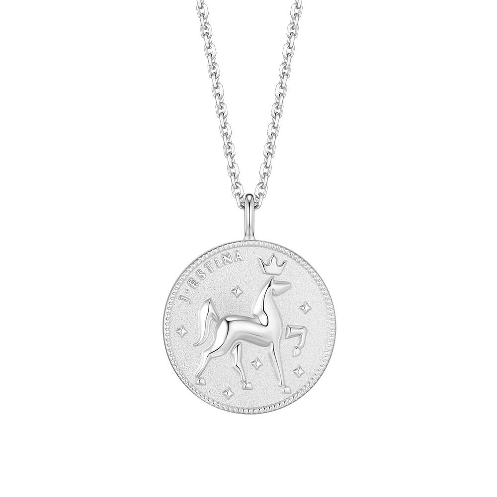 THE WISH COIN 실버 목걸이 (JJWJN06B1101SW500)