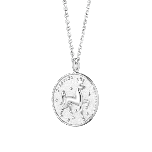 THE WISH COIN 실버 목걸이 (JJWJN06B1101SW500)