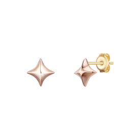 CELESTIA 14K 귀걸이 (JJCTE05BV769R40A0)