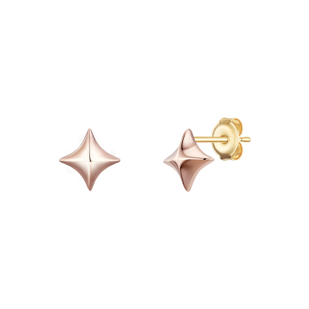 CELESTIA 14K 귀걸이 (JJCTE05BV769R40A0)