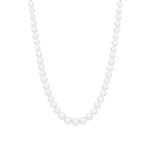 BASIC PERLINA 14K 담수진주 목걸이 (JJP1NF6B9180R4470)