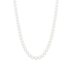 BASIC PERLINA 14K 담수진주 목걸이 (JJP1NF6B9180R4470)